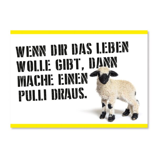 Wenn das Leben Dir Wolle gibt, dann mache einen Pulli draus.