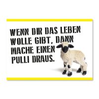 Wenn das Leben Dir Wolle gibt, dann mache einen Pulli draus.